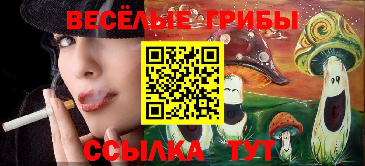 Галлюциногенные грибы Psilocybe Серов