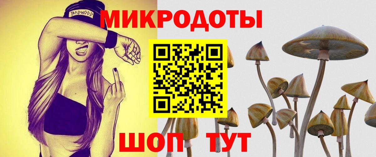 Серов  Галлюциногенные грибы прущие грибы  Вход с VPN 